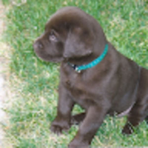 Meet your Posher, Mandy